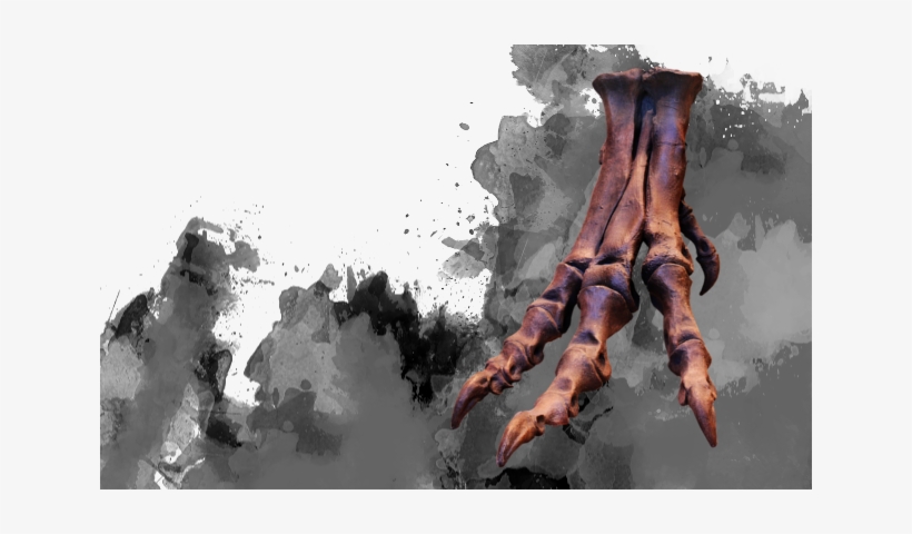 Balance The Encounter By Adding Or Reducing The Number - Giant Pacific Octopus, transparent png download