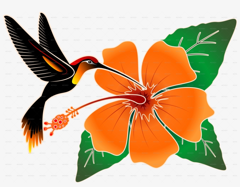 Orange Hibiscus And Hummingbird-png - Hummingbird And Hibiscus Throw Blanket, transparent png download