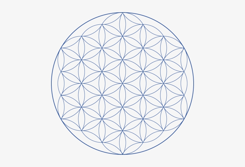 Flower Of Life Flor De La Vida 19 Circulos Transparent Png 480x480 Free Download On Nicepng