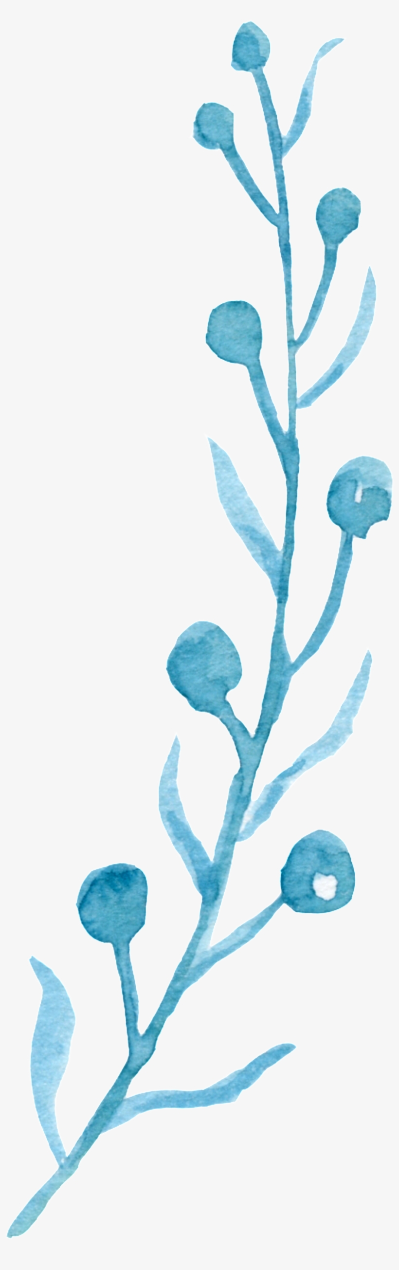 How To Draw Simple Watercolor Flowers Best Flower Site