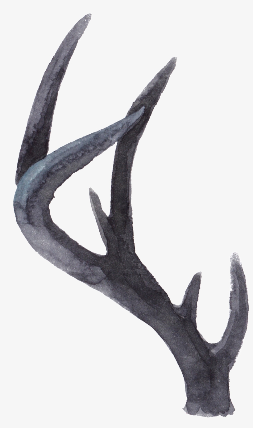 Creative Animal Tentacles Watercolor Transparent - My Notebook: Unlined Notebook - Large (8. 5 X 11 Inches), transparent png download