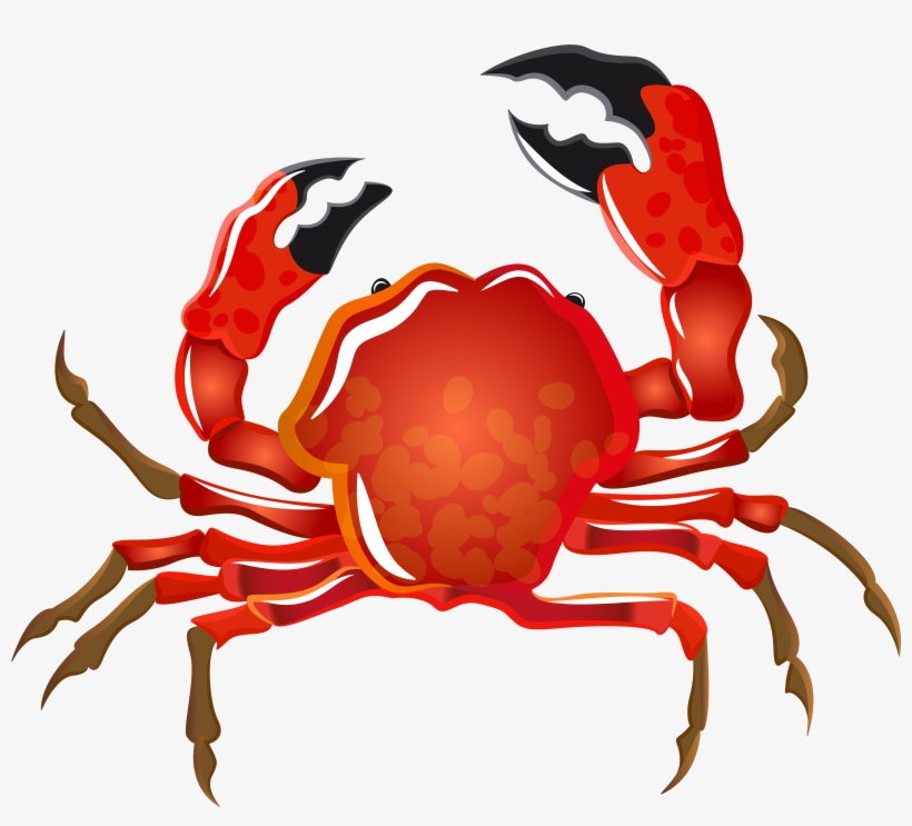 Crab Png, transparent png download