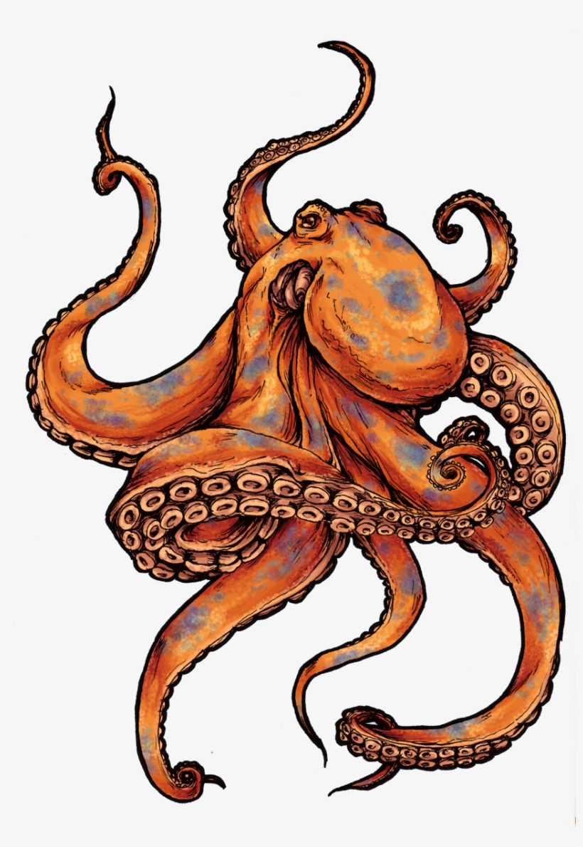 Octopus Tattoos Designs And Pictures - Tattoo Octopus, transparent png download