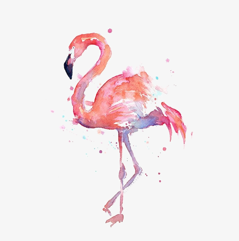 T Shirt Paper Watercolor - Flamingo Watercolor, transparent png download