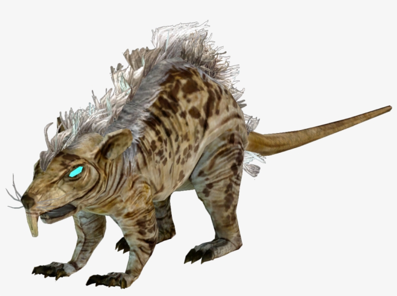 Giant Rat - Giant Rats, transparent png download