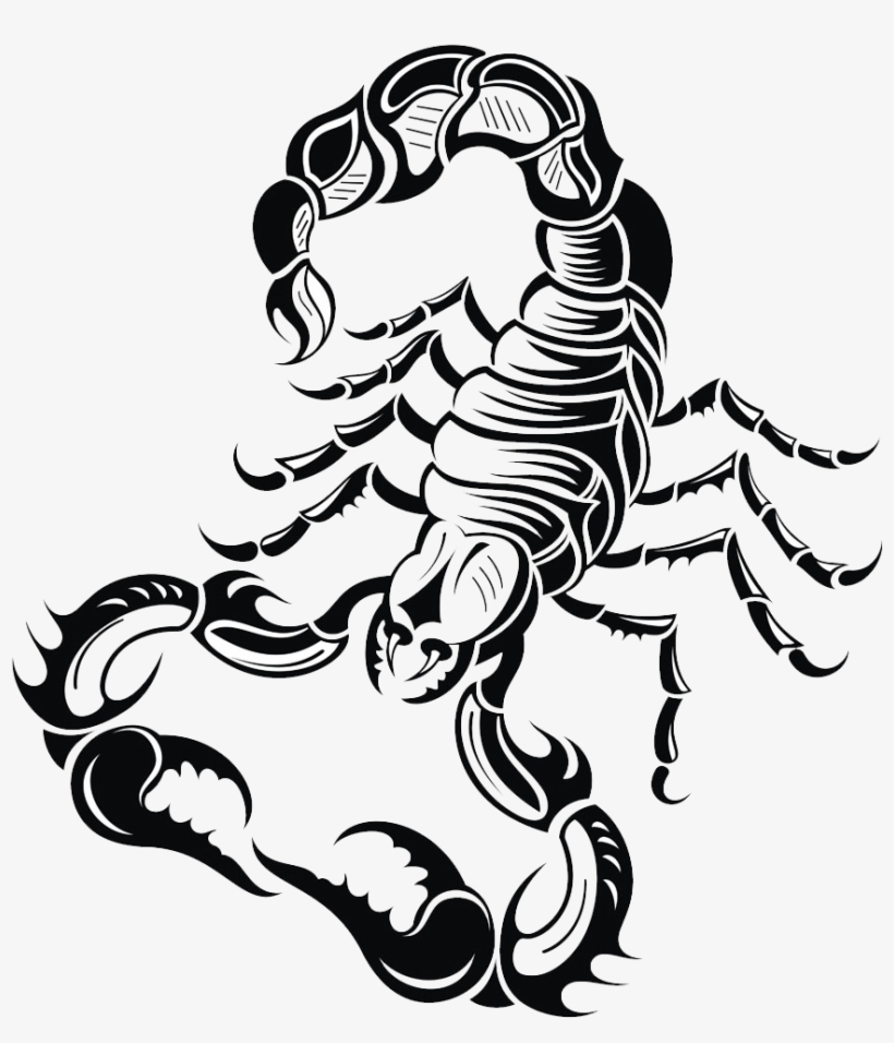 Jpg Transparent Stock Scorpions At Getdrawings Com - 8 Sheets Tiger Skull Scorpio Body Back Extra Large, transparent png download