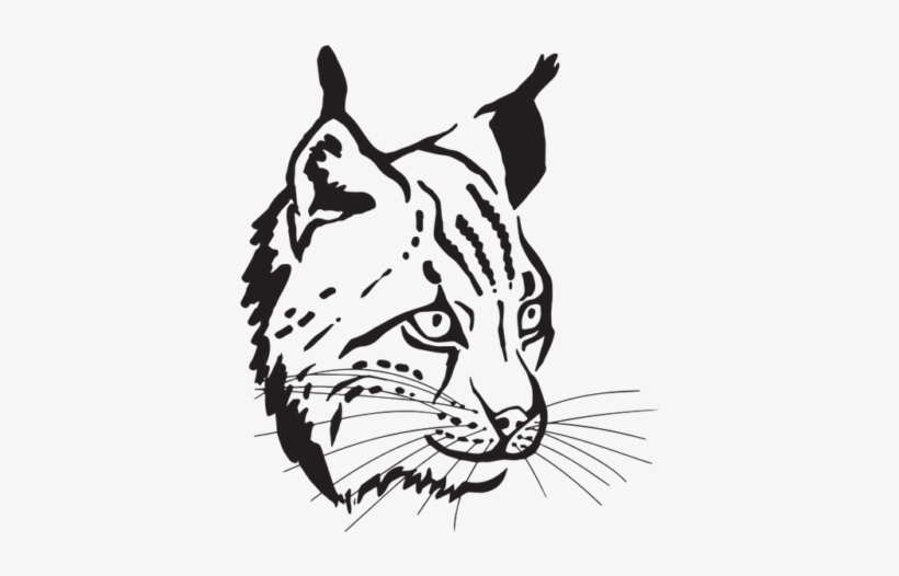 Europe, transparent png download