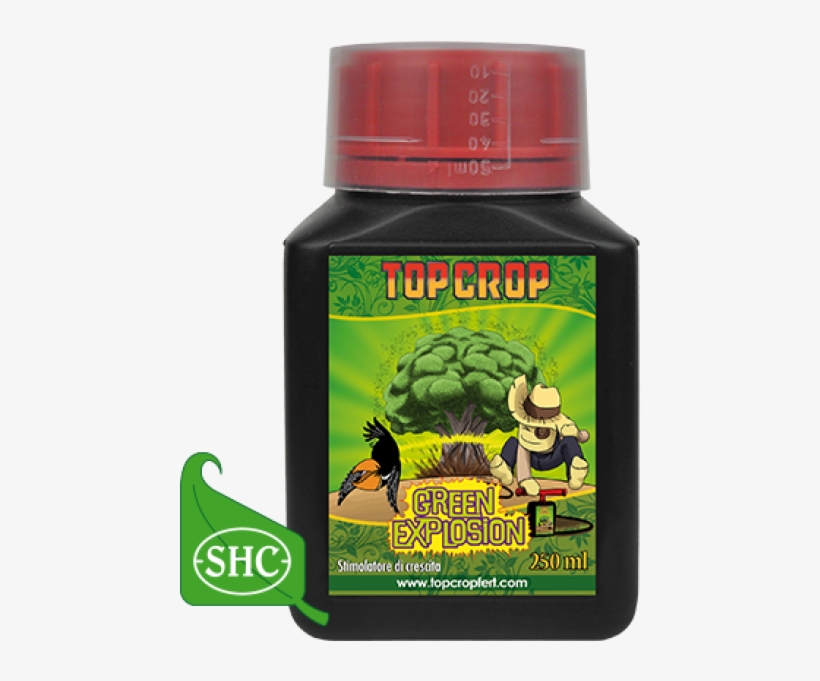 Productos Top Crop, transparent png download