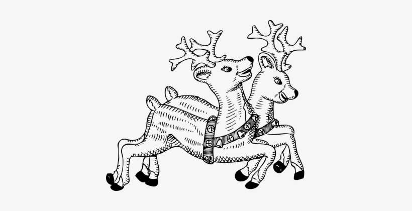 Reindeer Animals Deer Flying Christmas Cel - Christmas Black And White, transparent png download