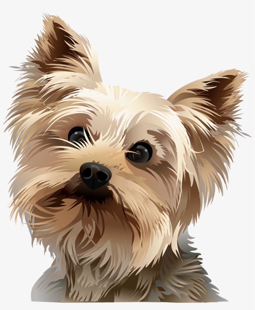 Picture Freeuse Stock Tshirt Standing Vibrant Animal, transparent png download