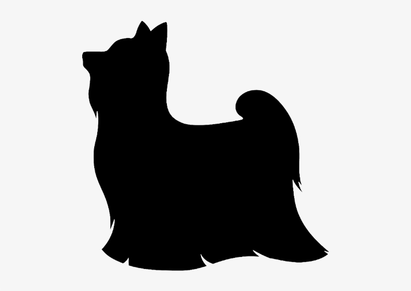 Small Dog Clipart - Yorkshire Terrier Silhouette Png, transparent png download