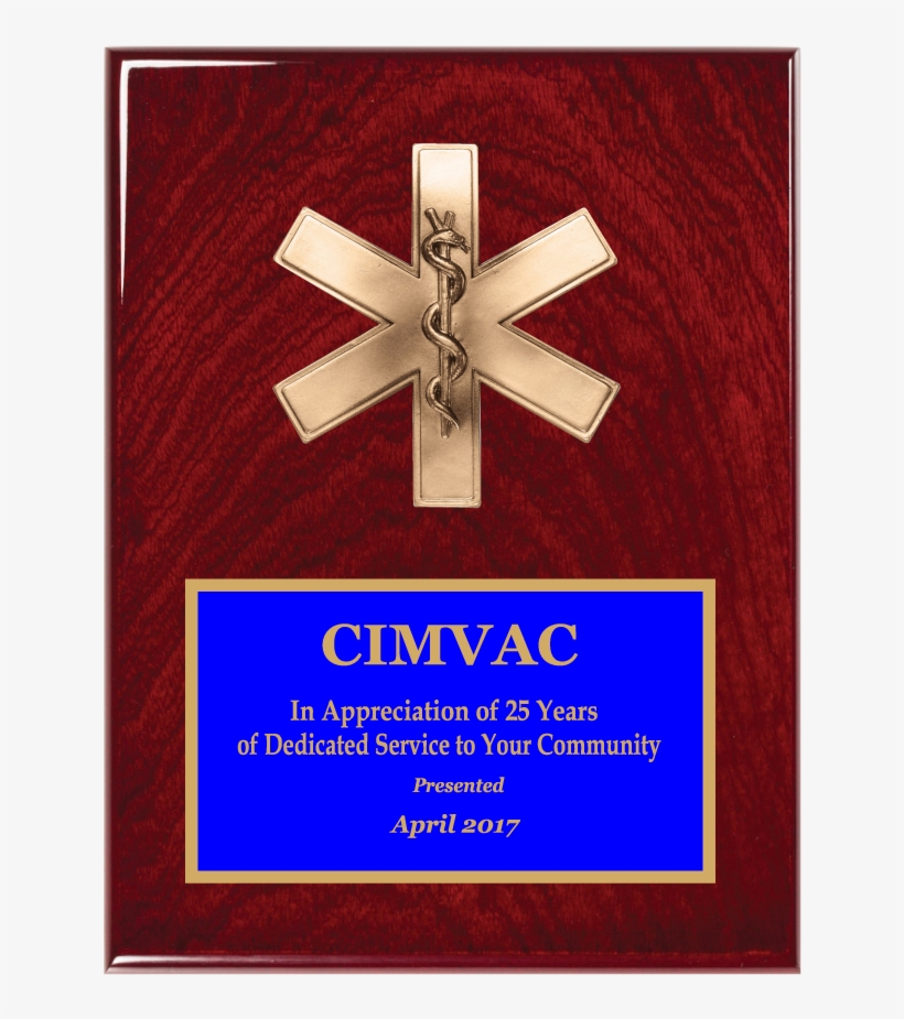Cove Edge Plaque W/ Bronze Cast Star Of Life Relief, transparent png download