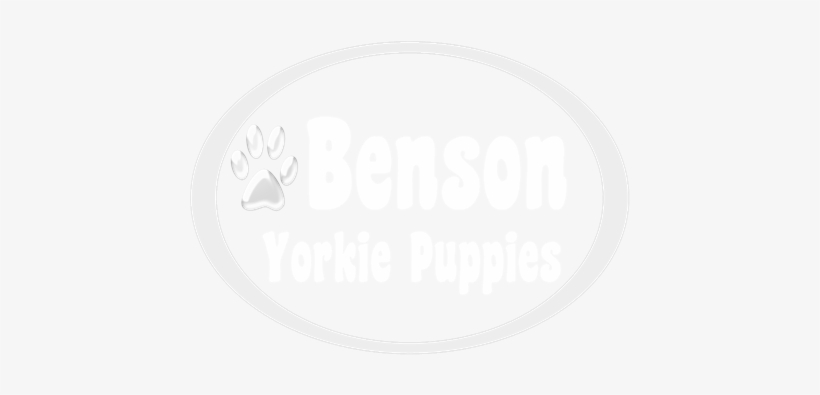 Teacup Yorkie Puppies For Adoption - Family Of 5 Stick People, transparent png download