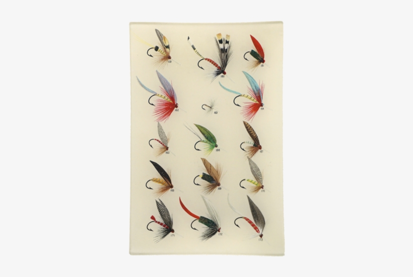 Trout Flies - Old Fly Illustration Fishing, transparent png download