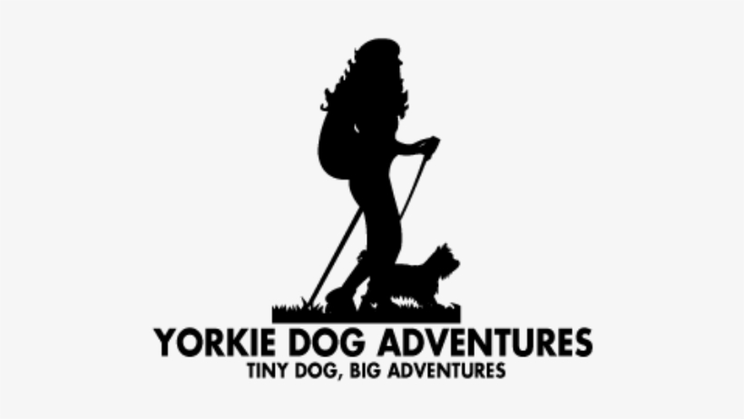 Yorkie Dog Adventures - Dog, transparent png download