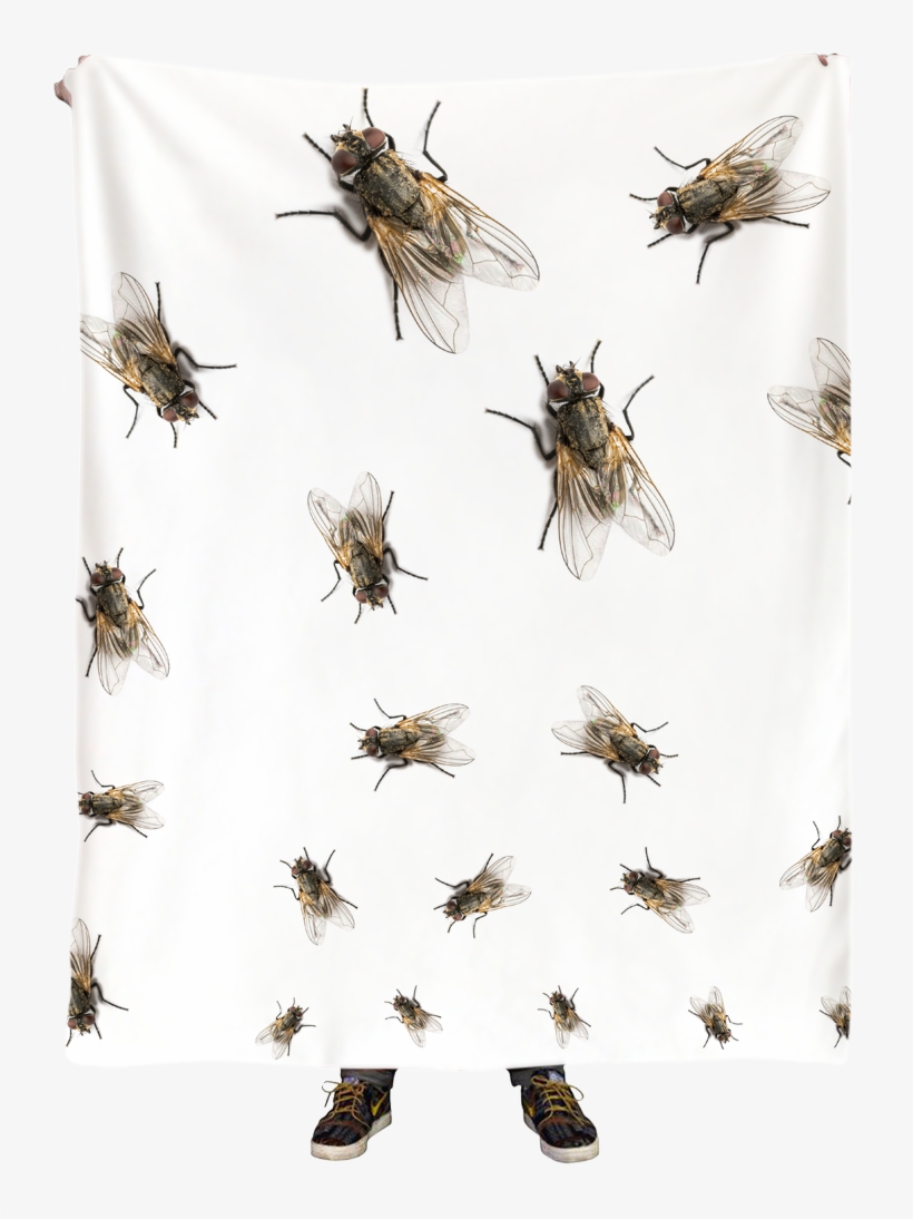 Flies Blanket - Blanket, transparent png download