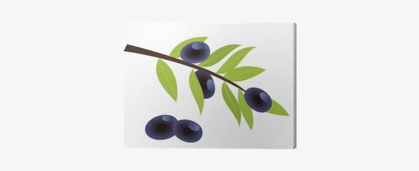Vector Olive Branch With Olives Canvas Print • Pixers® - Olive, transparent png download