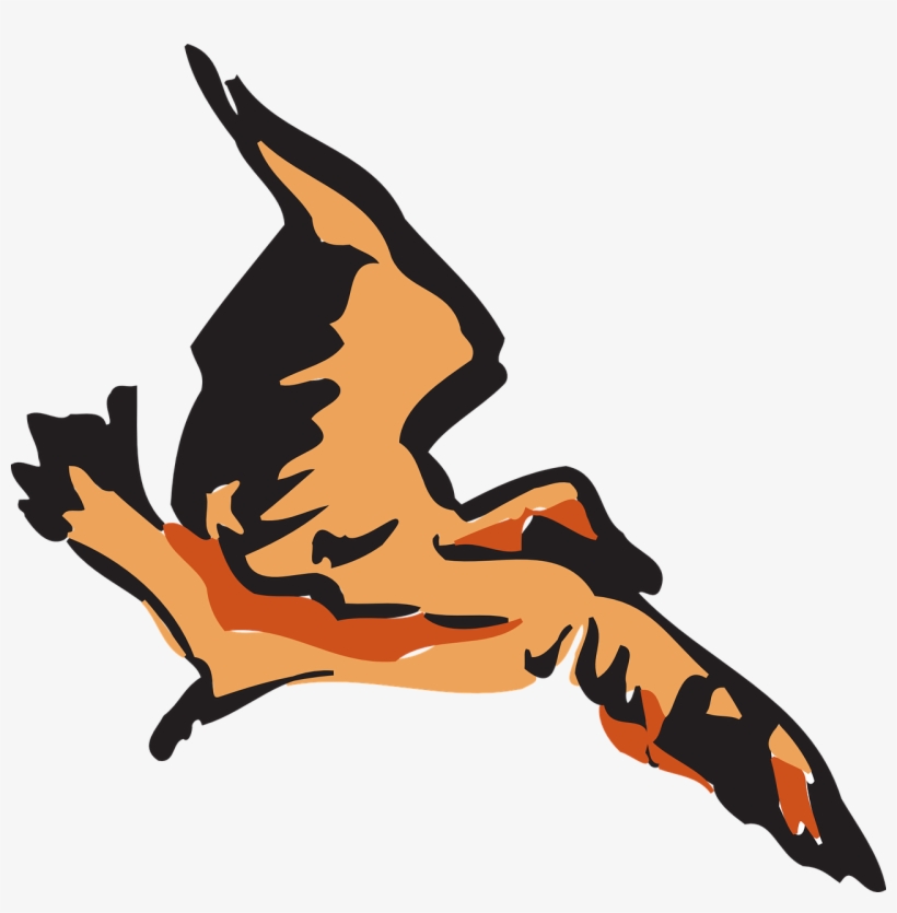 Bird Flying Wings Fly Feathers Transparent Image - Clip Art, transparent png download