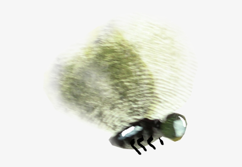 After The Initial Rough Page Layouts Were Done, I Had - Macro Photography, transparent png download