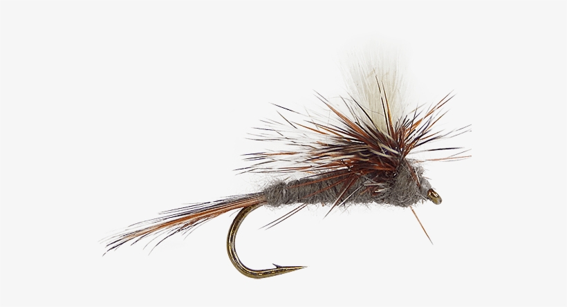 Dry Flies And Premium Dry Flies - Adams, transparent png download
