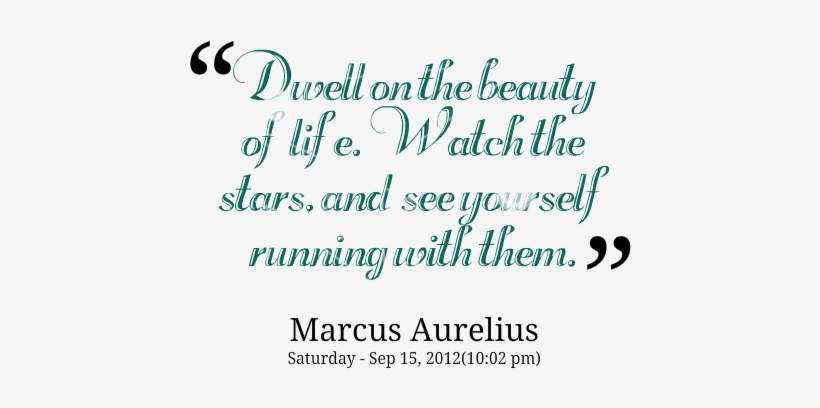 Elegant Quotes About The Beauty Of Life Star Of Life - Quotes About Appriciating Yourself, transparent png download