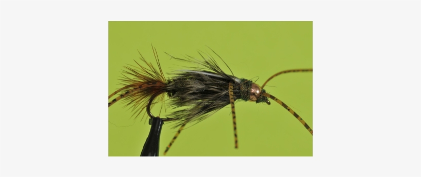 Mega Prince - Fins & Feathers Of Bozeman, transparent png download