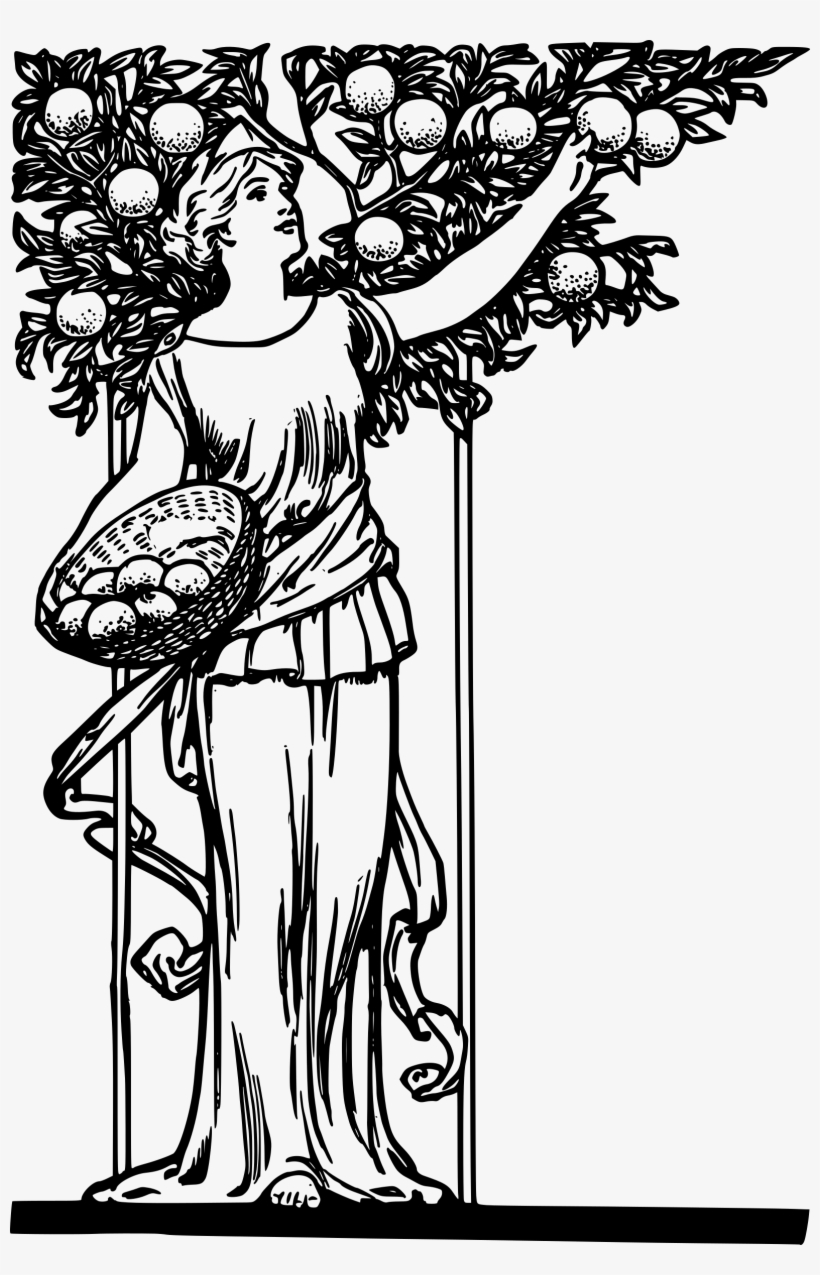 This Free Icons Png Design Of Lady Picking Oranges, transparent png download