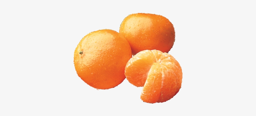 Buying Temple Oranges - Orange, transparent png download