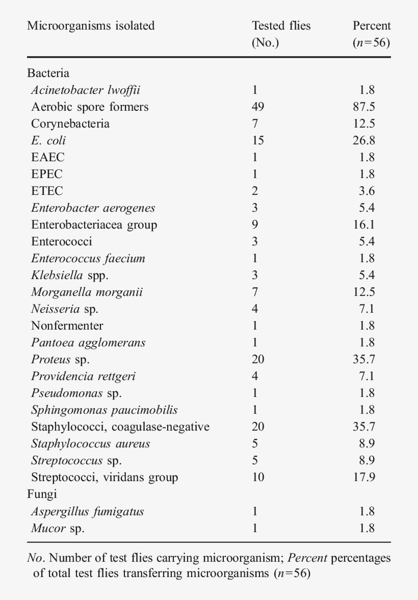 Of Microorganisms Identified And The Number Of Infested - Microorganism, transparent png download