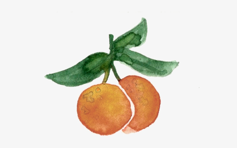 Oranges - Orange, transparent png download