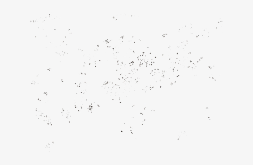 Search Results For “secret Santa Note” Calendar - Bird, transparent png download