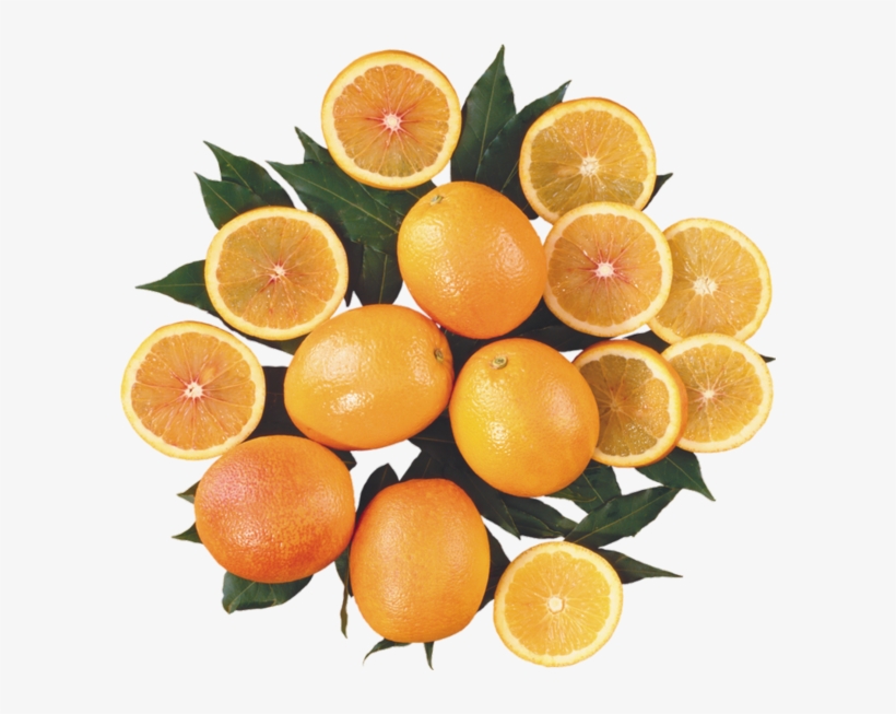 Oranges Png, Fruits, Agrumes - Orange, transparent png download