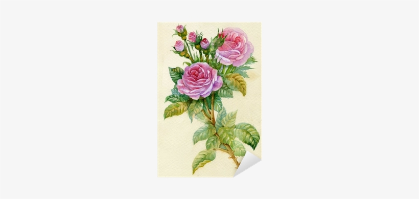 Watercolor Flower Collection - Watercolor Painting, transparent png download