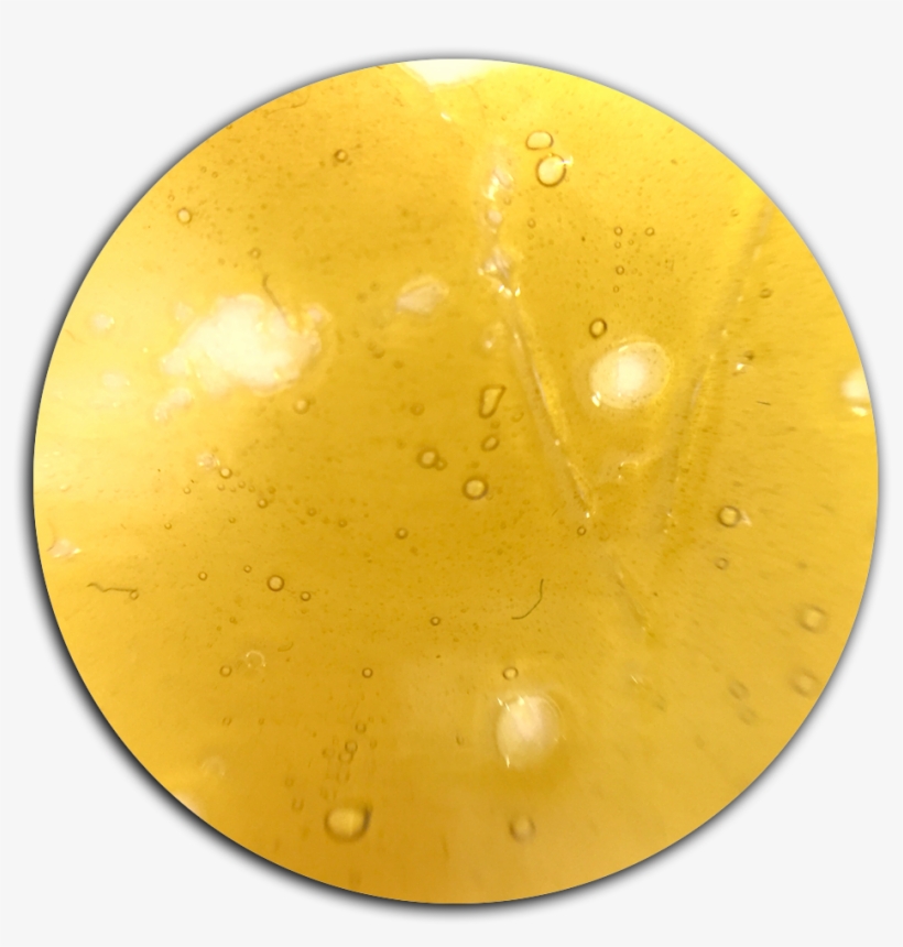 Many Patients Look On The Shelves For A Transparent - Circle, transparent png download