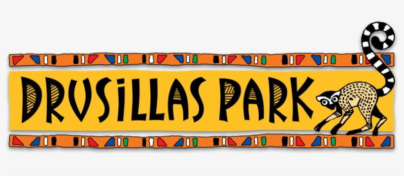 Drusillas Park Logo Png, transparent png download
