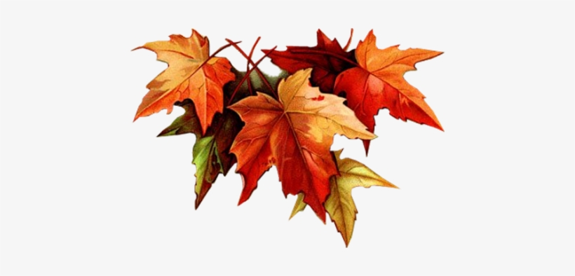 Tumblr Marxxfg9ib1rh3bmco1 500 - 21 Days Of Fasting & Prayer: Words, transparent png download