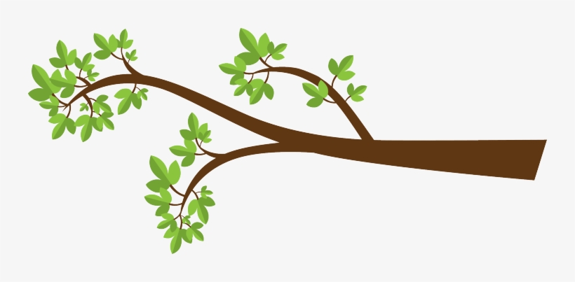 Leaves - Branch Clipart, transparent png download
