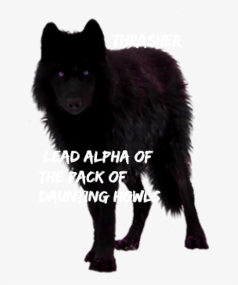 Thrasher - Wolf, transparent png download