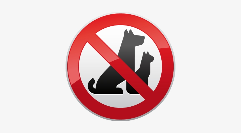 Following Rules - No Se Permiten Mascotas, transparent png download
