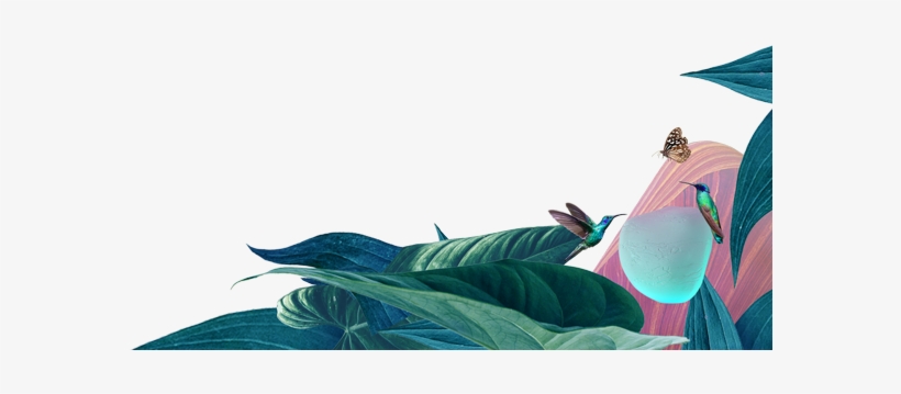 Illustration, transparent png download