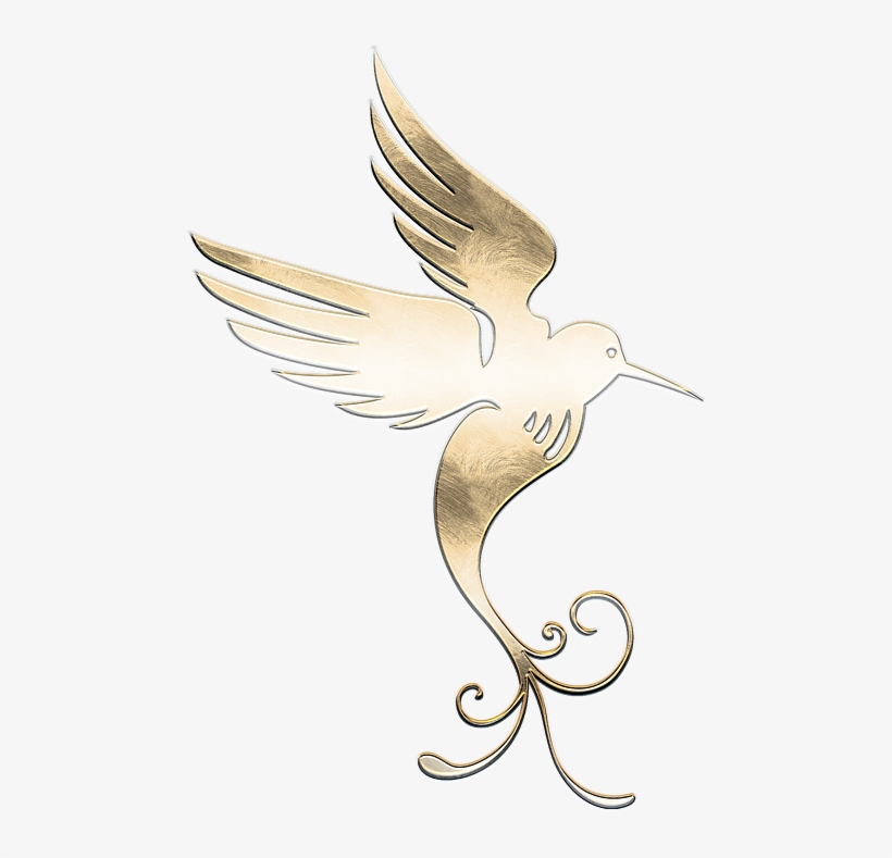 Stock.xchng, transparent png download