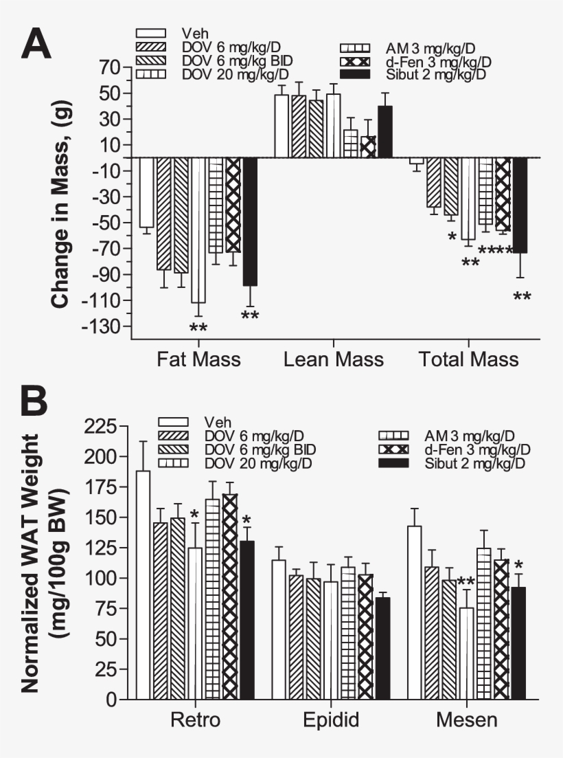 Changes In Body Mass Characteristics Of Dio Rats After - Dexfenfluramine, transparent png download