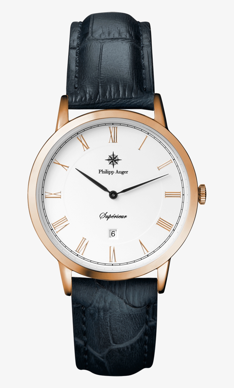 Supérieur Cannes-rose Gold - Dw Roman Letter Watch, transparent png download