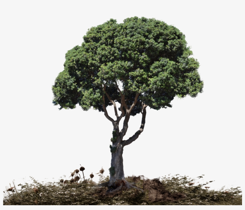 Landscape Png Picture - Png Landscape, transparent png download