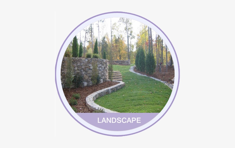 2015 A&a Plants - A & A Plants, transparent png download