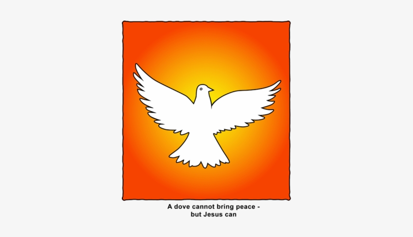 Orange Sky Dove - Dove Clip Art, transparent png download