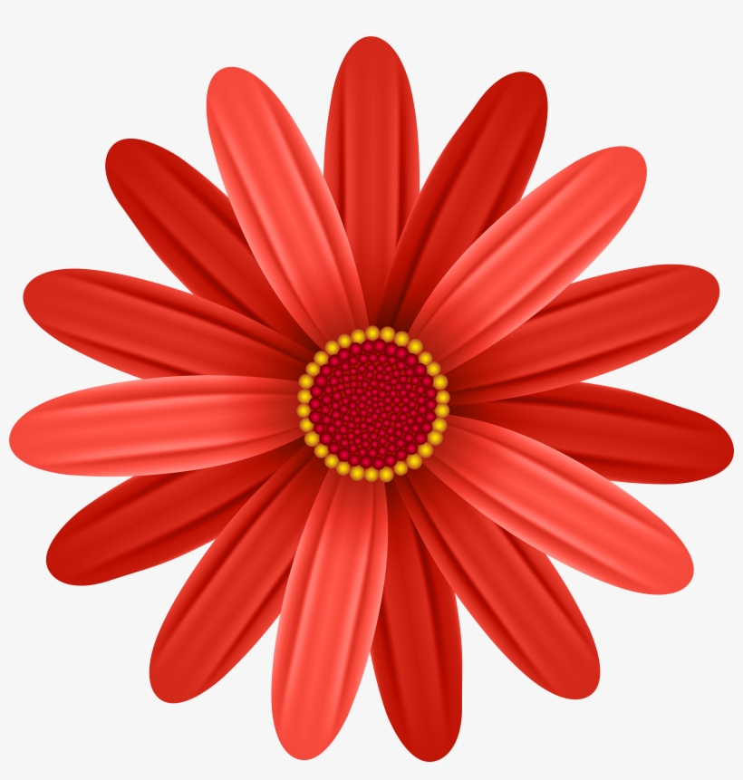 View Full Size, transparent png download
