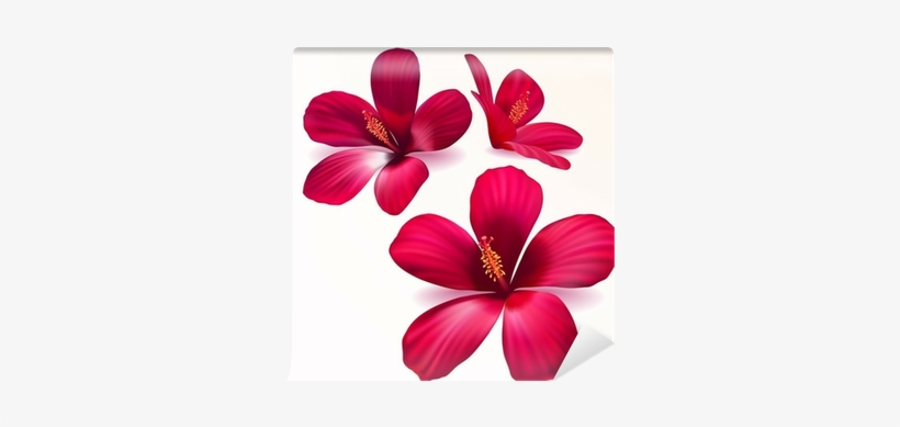 Frodo Synthesis, transparent png download