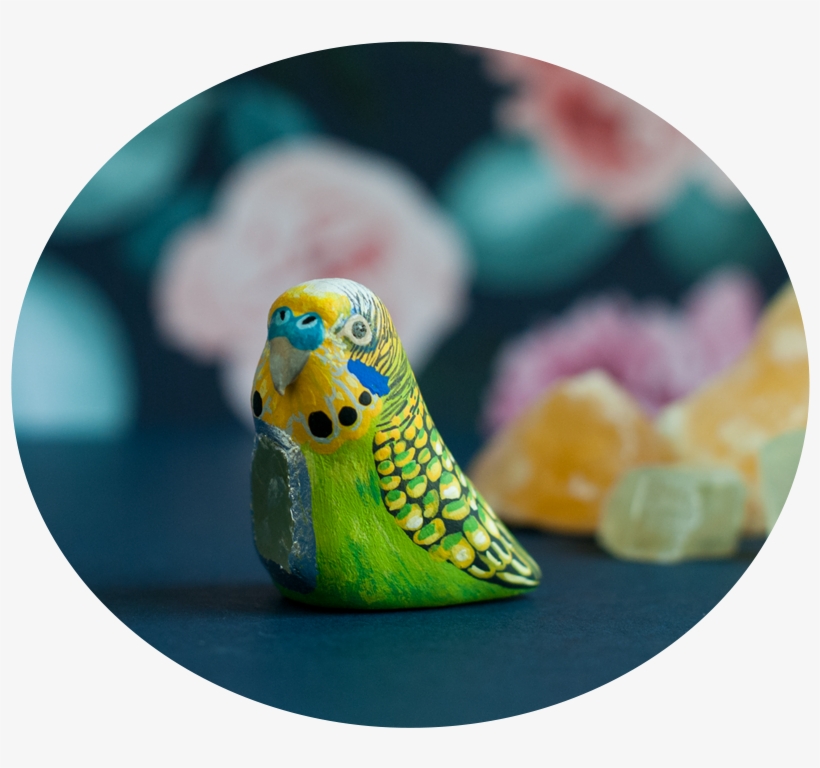 Parakeet Talisman, transparent png download