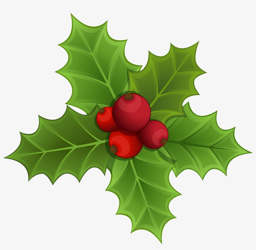 Mistletoe Png Clipart Image - صور رونالدو فى اليوفى, transparent png download